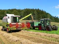 Bauernhofurlaub im Bayerischen Wald - Ernte und Traktor fahren