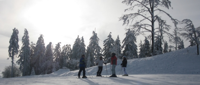 Skifahren Böhmerwald Skigebiet Hochficht Zwieselberg