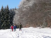 Langlauf Ski fahren im Winterurlaub Bayern